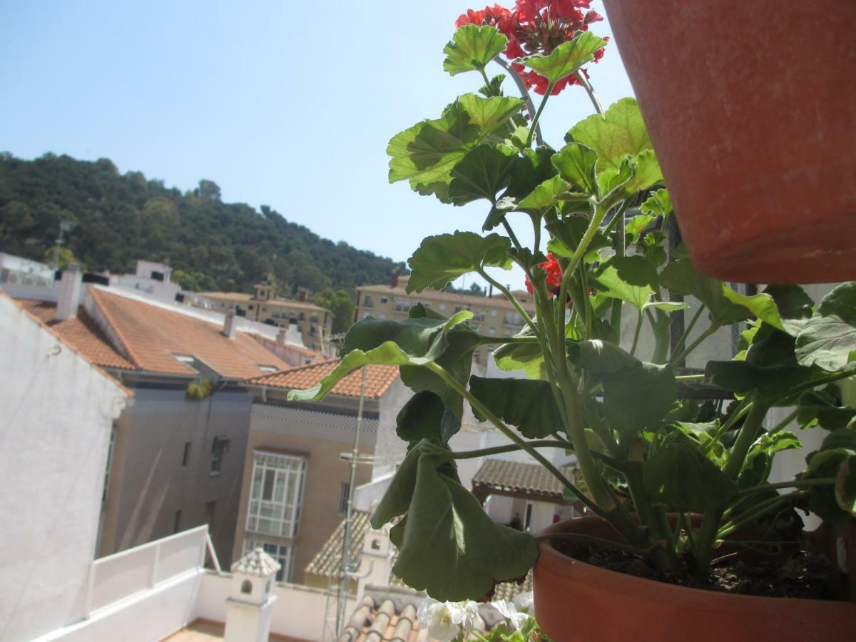 Junto A La Casa Natal De Picasso Διαμέρισμα Μάλαγα Εξωτερικό φωτογραφία